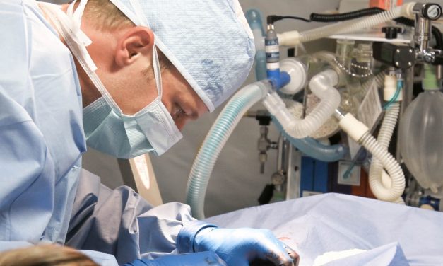 La réforme du « 100 % Santé » : quels sont les changements principaux ?