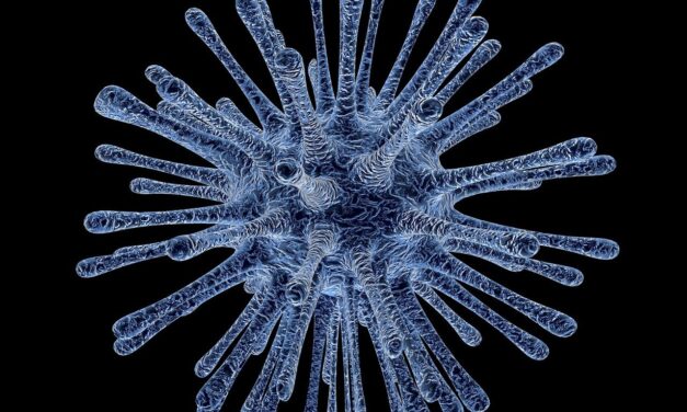 Papillomavirus chez l&rsquo;homme : symptômes et traitement