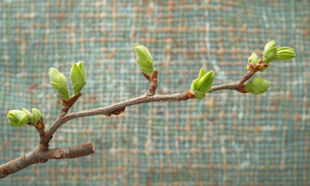 Gemmothérapie pour l&rsquo;arthrose : bienfaits des bourgeons sur les articulations