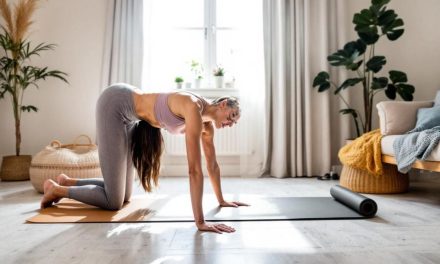 Exercices de gainage à la maison : programme complet pour renforcer vos abdominaux