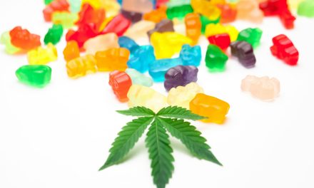 Bonbons, gummies, cookies : pourquoi les comestibles au chanvre attirent autant d&rsquo;attention ?