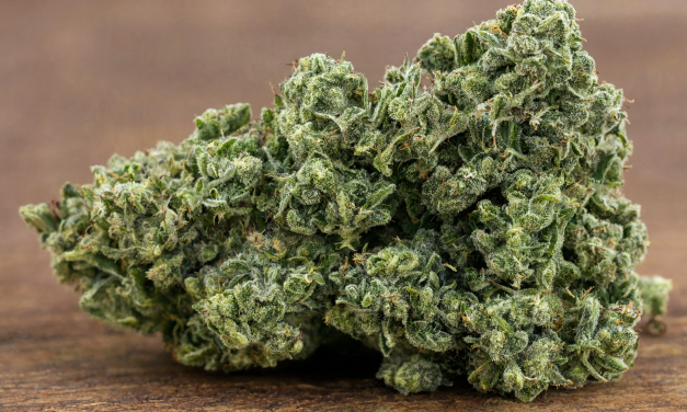Le palmarès 2026 des meilleures boutiques en ligne fleurs CBD californiennes en France